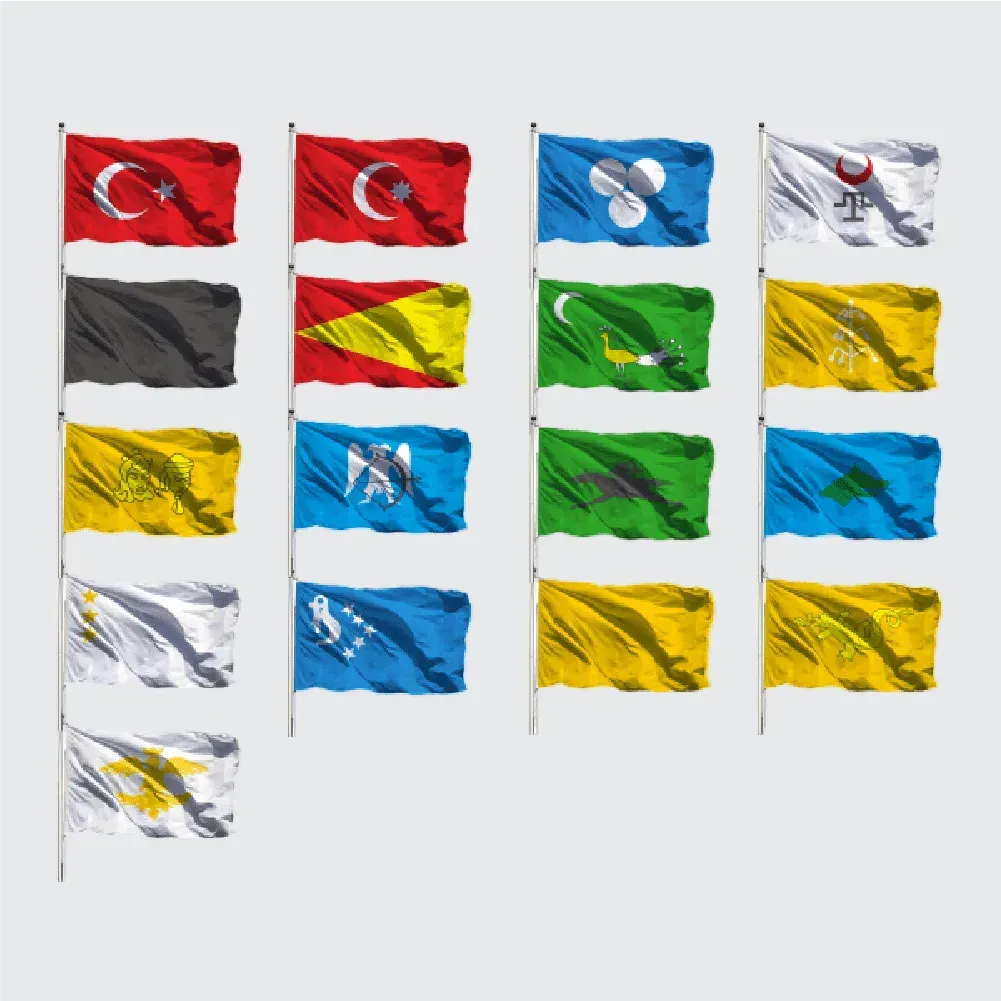 17'li Türk Devletleri Seti