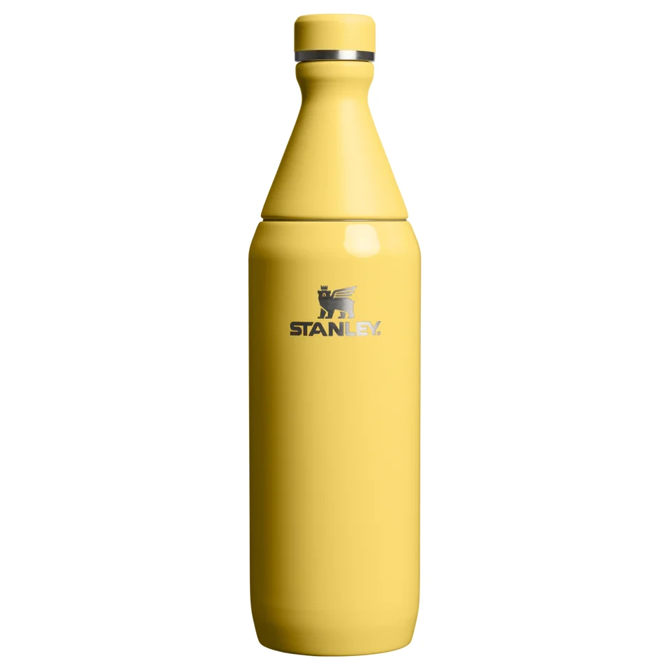 Stanley The All Day Slim Su Şişesi | 0.6L